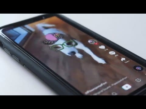 Trump asks Supreme Court to delay TikTok ban so he can weigh in after he takes office