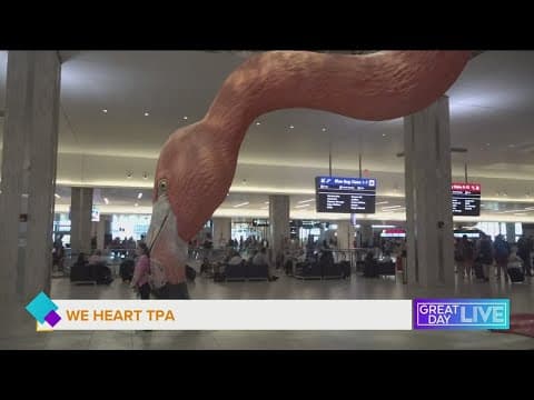 Summer travel from TPA