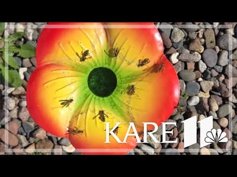 Your Good News: Paula, Cheri, Hargo, Scott