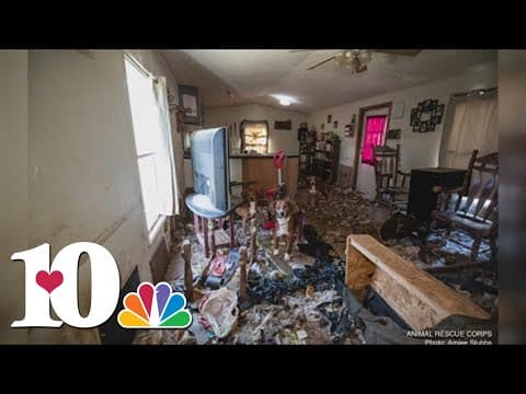 23 dogs and puppies rescued from trailer in Cumberland County by national nonprofit