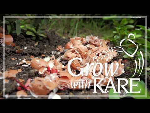 YouTube thumbnail for video sZJHViLoRWk