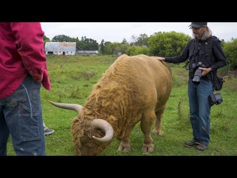 MN-based photographer captures spirit of Farm Aid through small farmers' lens
