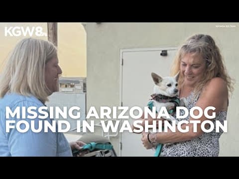 Missing Arizona dog found four months later in Washington