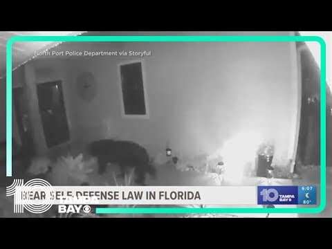 New Florida law addressing bear interactions is raising eyebrows across the state