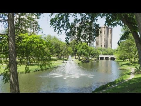 Dallas City Council approves proposal to count trees in the city