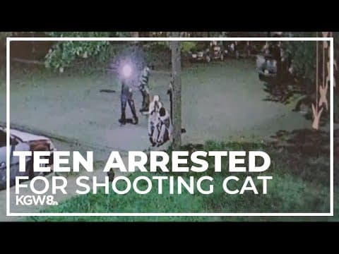 Fourth teen arrested for shooting death of Salem family's cat
