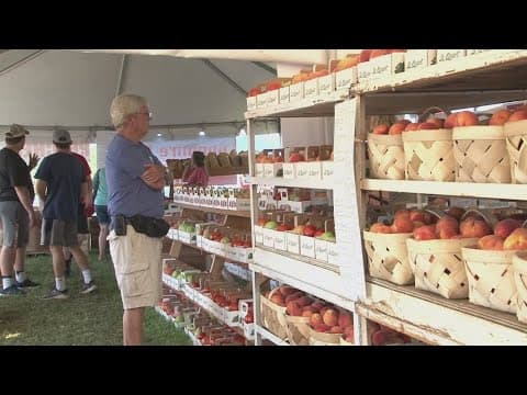 Grainger County Tomato Festival officially underway in Rutledge