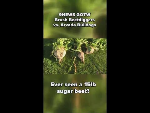 9NEWS Game of the Week at Beetdigger Stadium