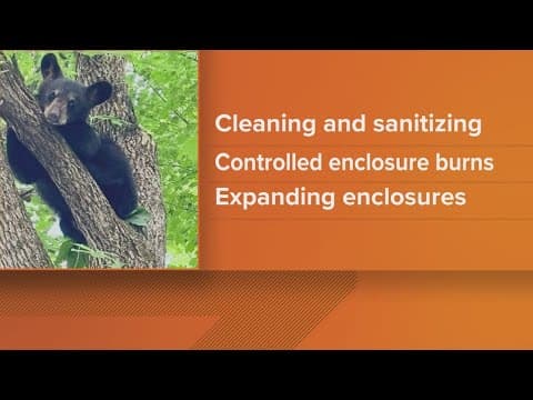 New renovations at Appalachian Bear Rescue