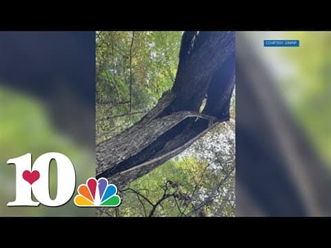 Lightning causes Flint Gap Fire in the Great Smoky Mountains, GSMNP says