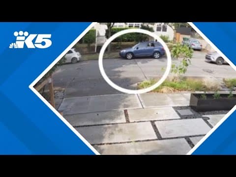 New video shows carjacker attacking beloved Seattle dog walker before killing her