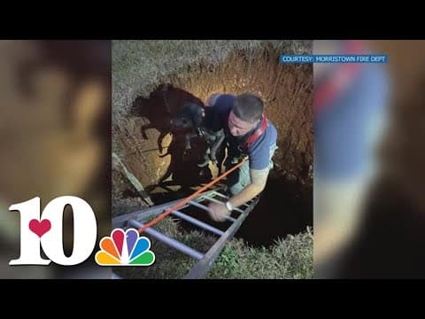 Morristown Fire Department crew pulls dog out of 12-foot sinkhole Friday evening