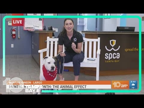 How adopting an animal can boost your mental health