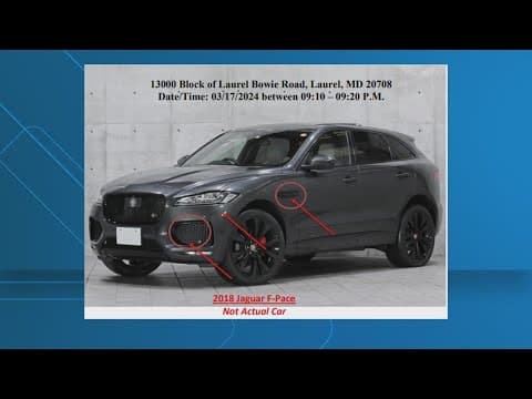 Police search for driver involved in deadly hit-and-run