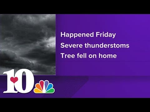 Man dies after tree falls on Sweetwater home