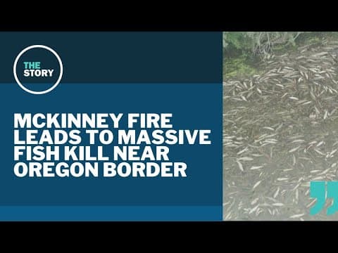 A wildfire indirectly killed thousands of fish near Oregon border