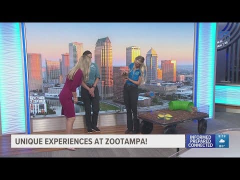 Unique animal encounters & more at ZooTampa