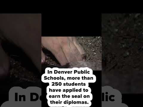 Denver senior creates community gardens and chicken coop at his school