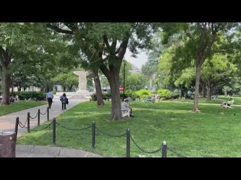 Fencing could go up around DuPont Circle Park ahead of WorldPride weekend, sources say