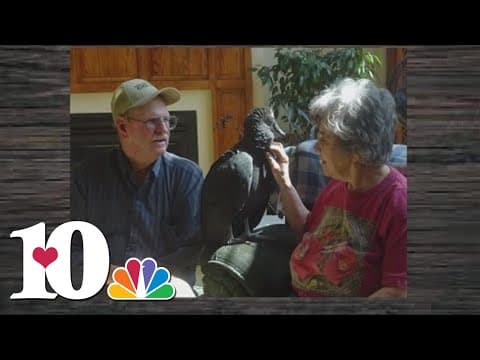 Remembering Lynne McCoy: A champion of wildlife rehabilitation