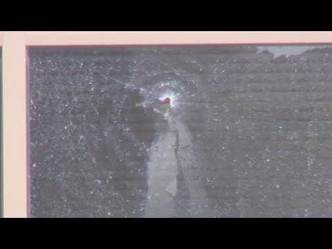 A woman's stumble led to an accidental shooting that struck a North Texas school