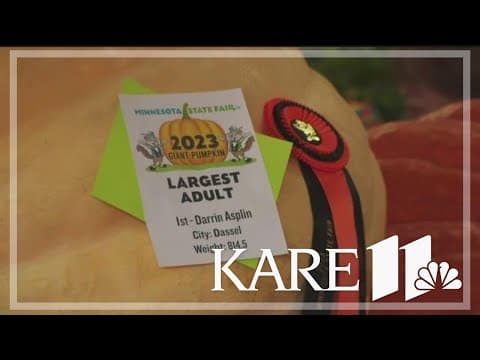 Dassel-grown pumpkin takes home top prize at the Minnesota State Fair