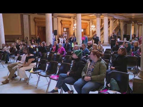 Reproductive health and access advocates rally at the Indiana Statehouse