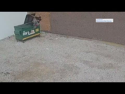 Surveillance video: Man found in dumpster after escaping custody in downtown Houston