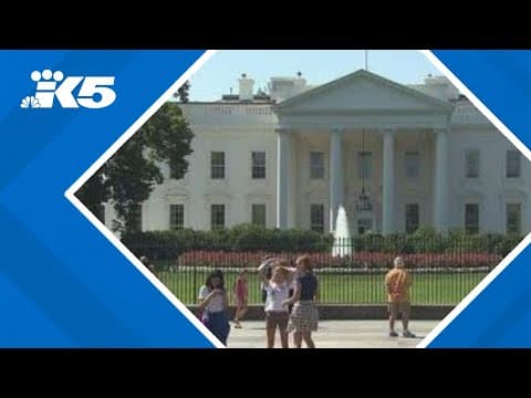 Trump administration cuts nearly $8B in clean energy projects in states that backed Harris