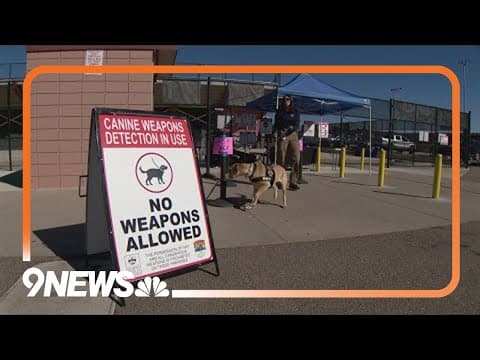 DPS launches pilot program using gunpowder sniffing dogs to keep weapons away from big games, events
