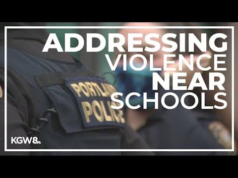 PPS task force proposal includes collaboration with police to tackle violence