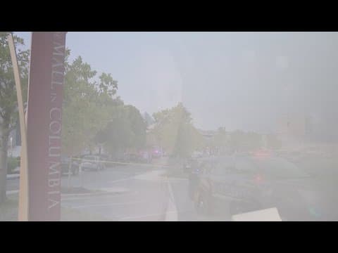 17-year-old boy killed in shooting at food court inside Columbia Mall