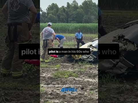 A pilot has died after a helicopter crash in a sugar cane field near Thibodaux this morning.