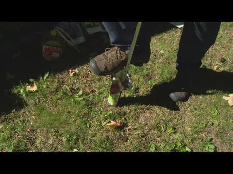 Pat Sullivan's tips to planting your fall bulbs