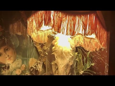 Teen turns basement into haunted hotel with family’s help