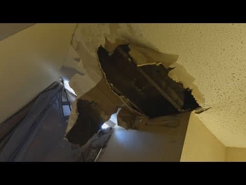 Disabled man scared to step foot in New Orleans East due to bat infestation