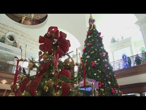 Festival of Trees | Good News with Dave Calabro