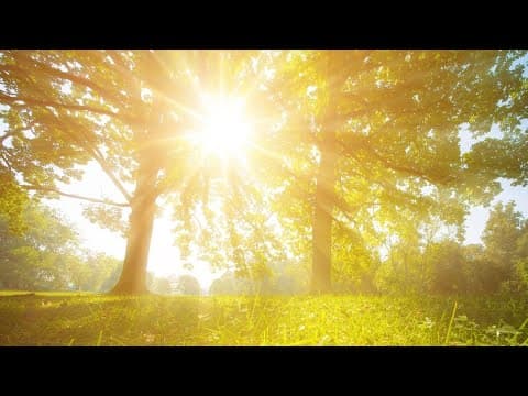 Brutal heat dome bears down on much of US