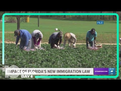 How Florida's new anti-illegal immigration bill impacts state's workforce