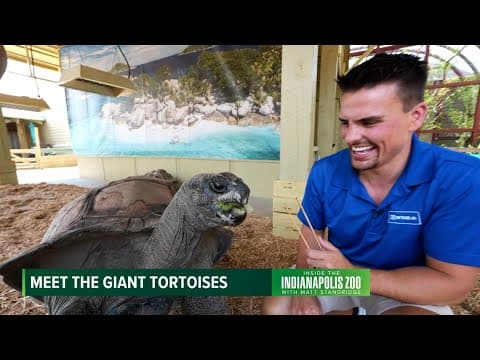 Meeting AJ and the giant tortoises | Inside the Indianapolis Zoo