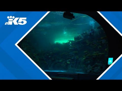 Seattle Aquarium's "Ocean Pavilion" exhibit opens