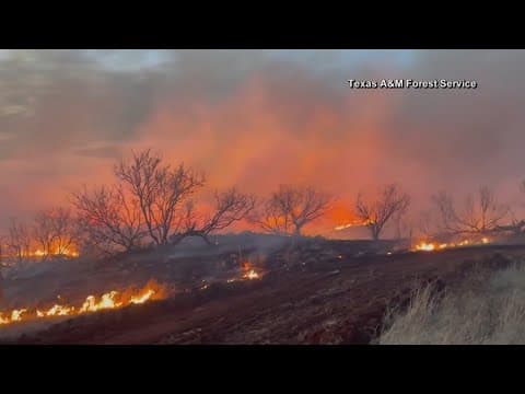 Wildfire grows into one of largest in Texas history as flames menace multiple small towns