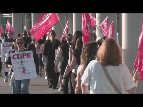 Flight attendants on strike across airlines