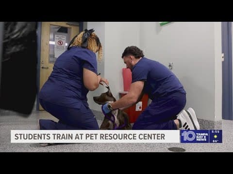 Students get hands-on experience at Hillsborough County Pet Resource Center