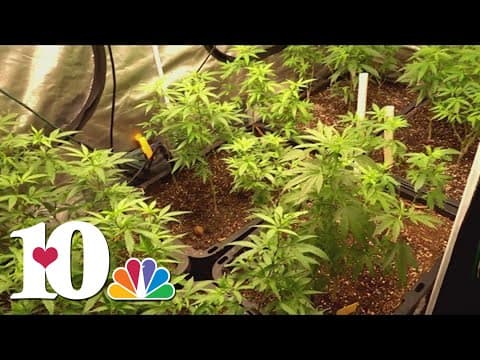 State lawmaker introduces bill to add regulations to cannabis products like Delta-8