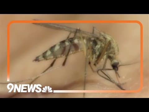 Weld County reports first human case of West Nile virus of the year