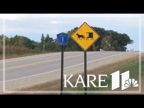 Twin sister who claimed to be driver in fatal buggy crash sentenced