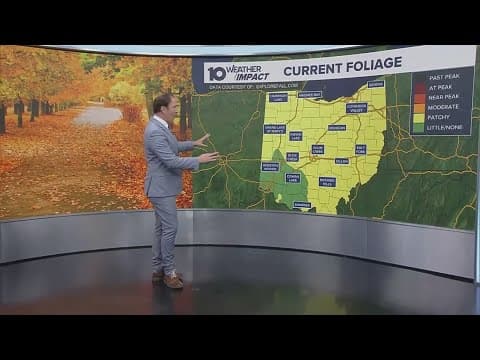 Fall foliage in Ohio: When will we start to see leaves change colors?