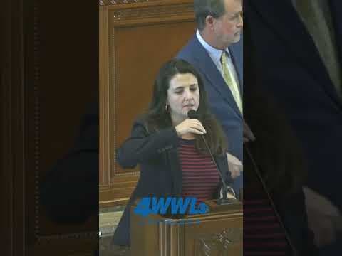 Home Insurance Crisis: Did Lawmakers Do Enough?