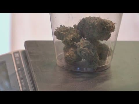 Future of wiping marijuana possession records clean remains unclear